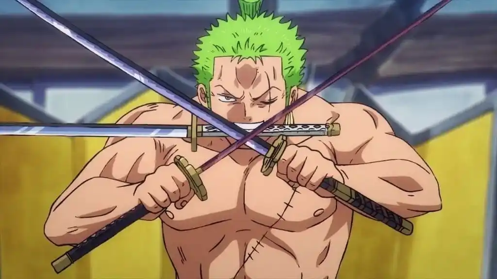 zoro post timeskip
